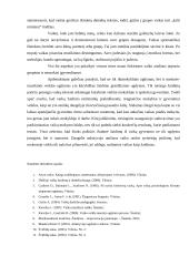 Žaidimo įtaka muzikinėje veikloje 4 puslapis