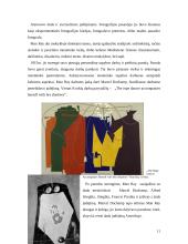 Abstraktūs fotoeksperimentai 11 puslapis