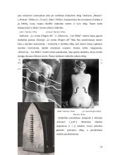 Abstraktūs fotoeksperimentai 14 puslapis