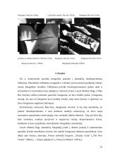 Abstraktūs fotoeksperimentai 16 puslapis