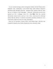 Abstraktūs fotoeksperimentai 5 puslapis