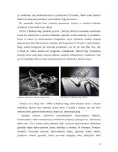 Abstraktūs fotoeksperimentai 8 puslapis