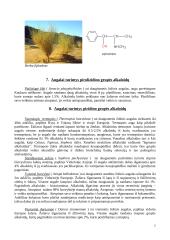 Alkaloidai augaluose, jų panaudojimas 7 puslapis
