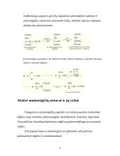 Viskas apie aminorūgštis 11 puslapis