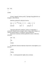 Viskas apie aminorūgštis 12 puslapis