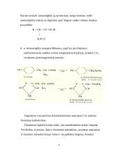 Viskas apie aminorūgštis 6 puslapis