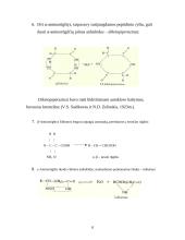 Viskas apie aminorūgštis 8 puslapis
