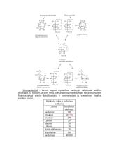 Angliavandeniai 2 puslapis