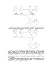 Angliavandeniai 4 puslapis