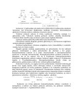 Angliavandeniai 5 puslapis