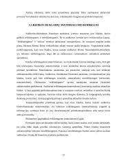 Audito organizavimas ir dokumentai 11 puslapis