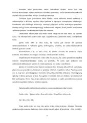 Audito organizavimas ir dokumentai 12 puslapis