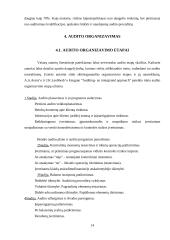 Audito organizavimas ir dokumentai 13 puslapis
