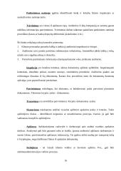 Audito organizavimas ir dokumentai 15 puslapis