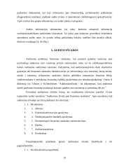 Audito organizavimas ir dokumentai 18 puslapis
