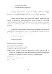 Audito organizavimas ir dokumentai 19 puslapis