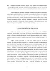 Audito organizavimas ir dokumentai 3 puslapis