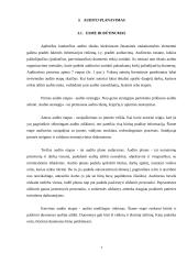 Audito organizavimas ir dokumentai 6 puslapis