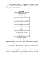 Audito organizavimas ir dokumentai 7 puslapis