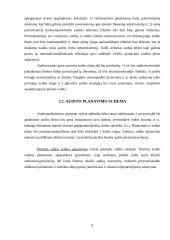 Audito organizavimas ir dokumentai 8 puslapis