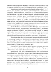 Audito organizavimas ir dokumentai 10 puslapis