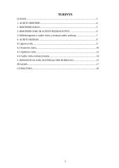 Audito reikšmingumas ir rizika 2 puslapis