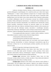 Audito reikšmingumas ir rizika 15 puslapis