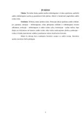 Audito reikšmingumas ir rizika 3 puslapis