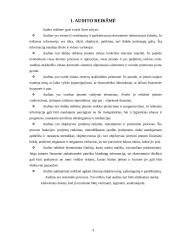 Audito reikšmingumas ir rizika 4 puslapis