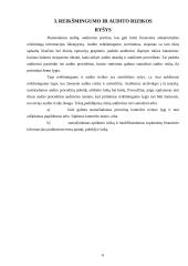 Audito reikšmingumas ir rizika 6 puslapis