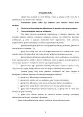 Audito reikšmingumas ir rizika 9 puslapis