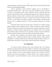 Avanso ir rankpinigių atribojimas 11 puslapis