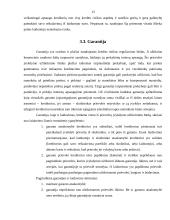 Avanso ir rankpinigių atribojimas 13 puslapis