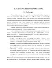 Avanso ir rankpinigių atribojimas 3 puslapis