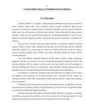 Avanso ir rankpinigių atribojimas 9 puslapis