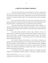 Belgijos antstolių veikla 11 puslapis