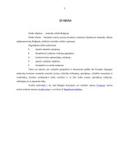 Belgijos antstolių veikla 2 puslapis