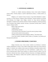 Belgijos antstolių veikla 3 puslapis