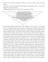Bendrieji įmonės apskaitos principai 3 puslapis