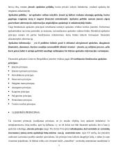 Bendrieji įmonės apskaitos principai 4 puslapis