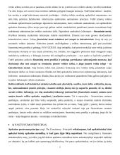 Bendrieji įmonės apskaitos principai 6 puslapis