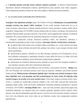 Bendrieji įmonės apskaitos principai 8 puslapis