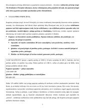 Bendrieji įmonės apskaitos principai 9 puslapis