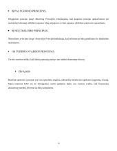 Bendrieji įmonės apskaitos principai 10 puslapis