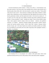 Bitininkystė Lietuvoje, medaus produktai 5 puslapis