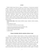 Biudžetinės įstaigos sąmatos sudarymas: vidurinė mokykla 2 puslapis