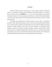 Biudžetinės įstaigos sąmatos sudarymas: vidurinė mokykla 14 puslapis