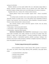 Biudžetinės įstaigos sąmatos sudarymas: vidurinė mokykla 3 puslapis