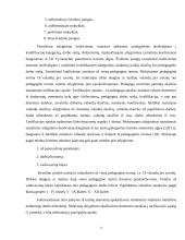 Biudžetinės įstaigos sąmatos sudarymas: vidurinė mokykla 4 puslapis