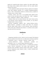 Brangakmeniai 4 puslapis